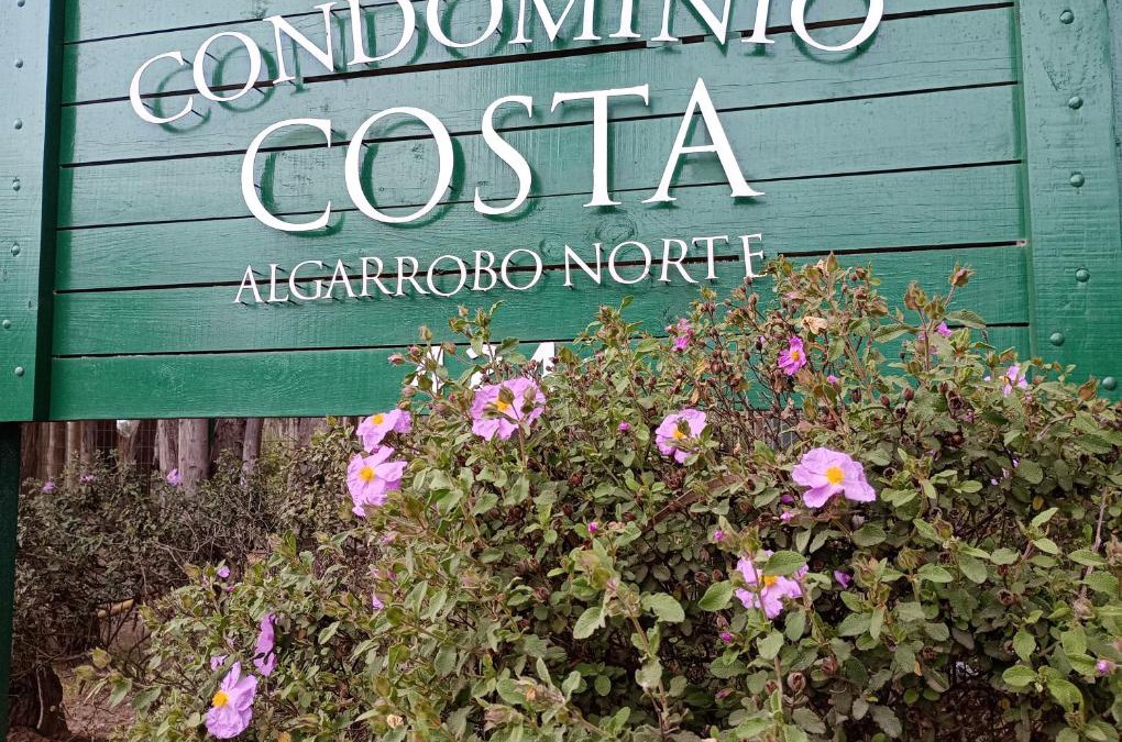 Mirasol Apartment | Costa Algarrobo Norte