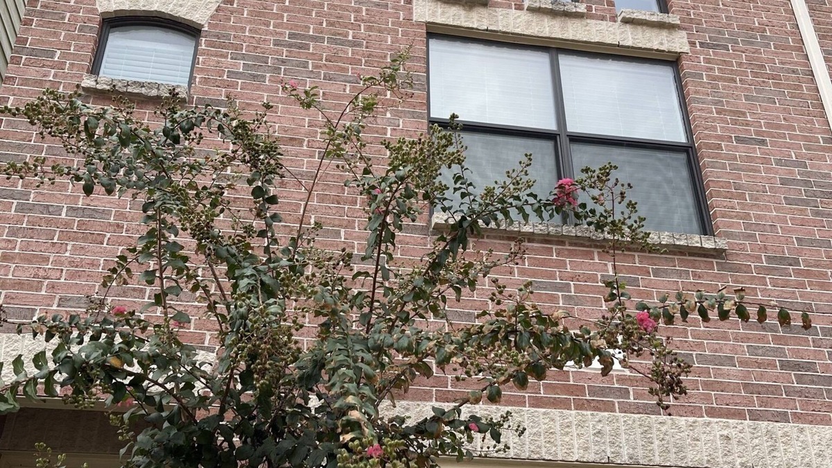 Woodlake - Briar Meadow House | COSY 2Bedroom Townhouse