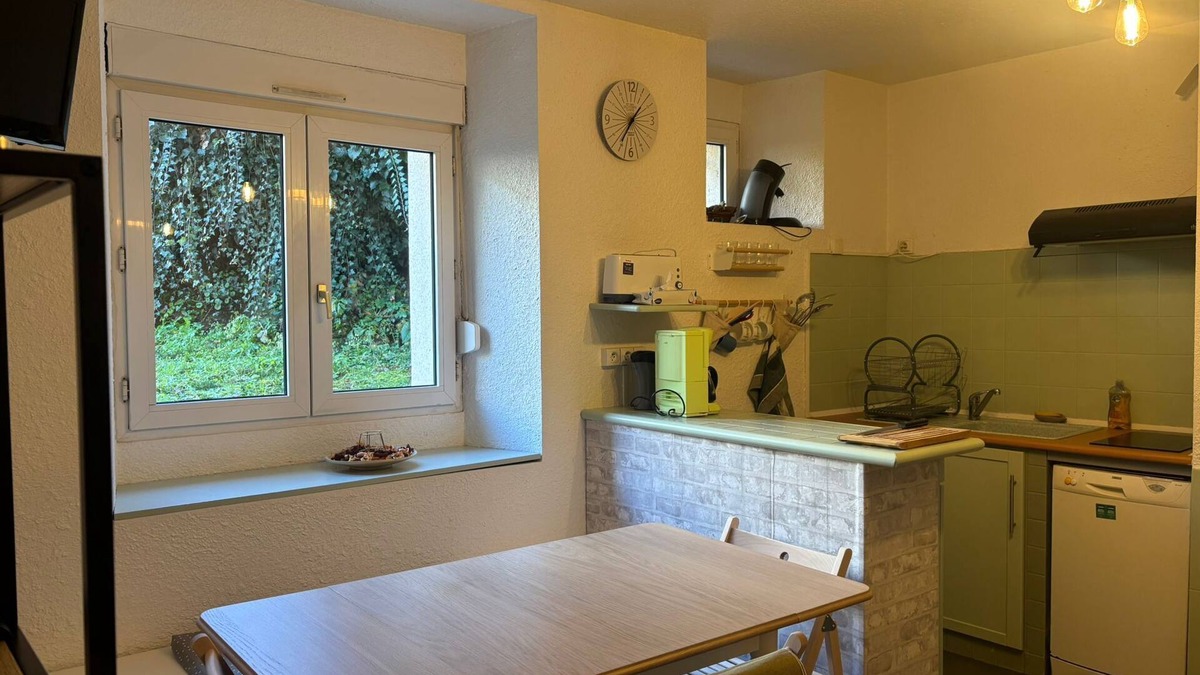 Ignaux Apartment | Cosy apartment - Ax Les Thermes