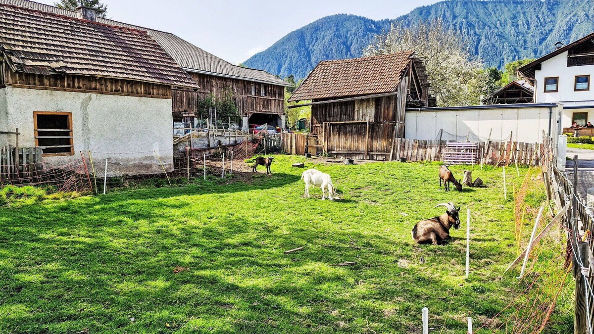 Fronhausen Apartment | Cosy apartment for 4 guests with WIFI, TV, patio and parking
