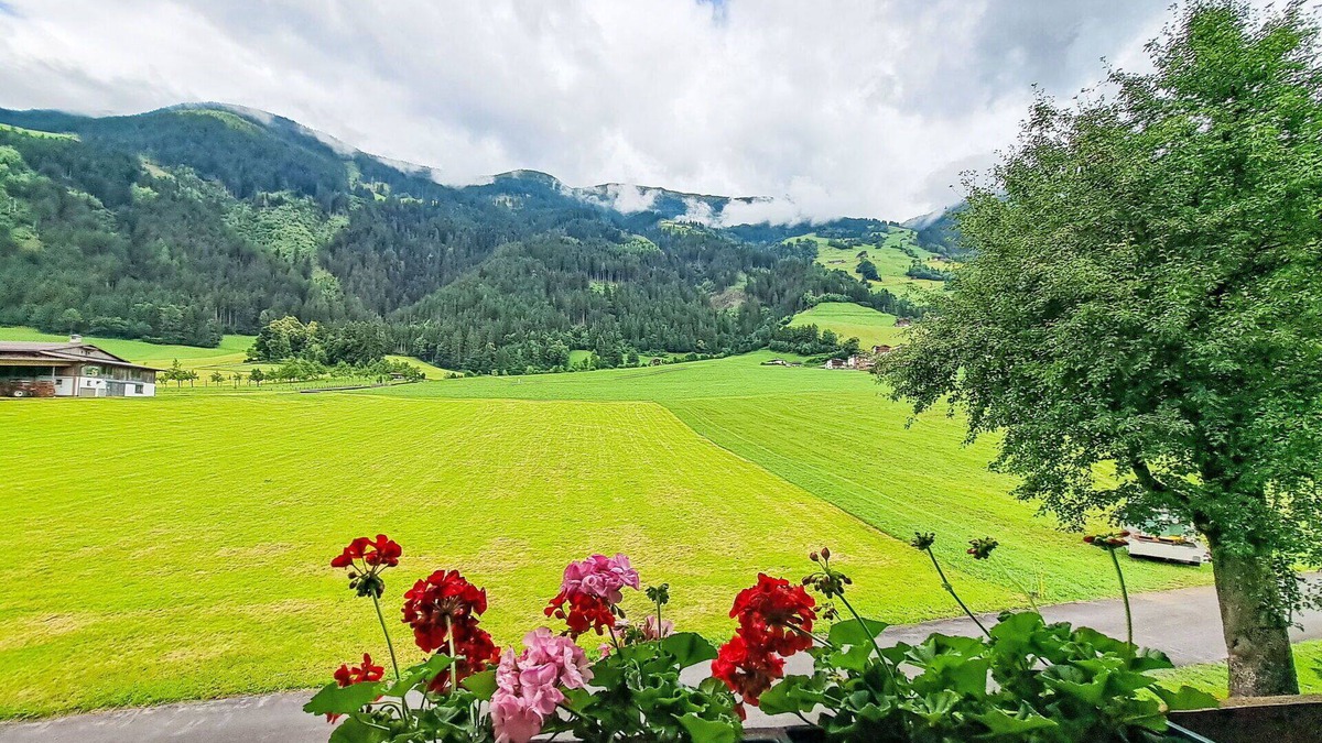 Laimach Apartment | Cosy apartment for 8 people with balcony and parking