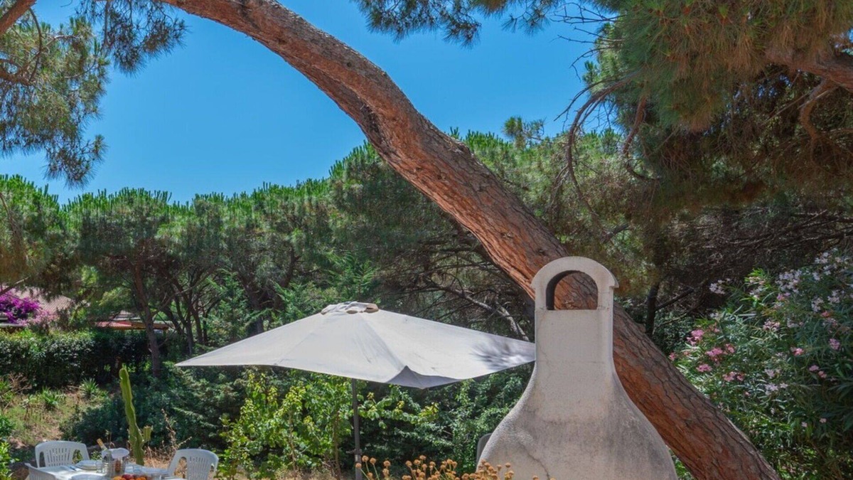 San Pietro a Mare Apartment | Cosy apartment for 4 people with WIFI, A/C, TV, patio and pets allowed