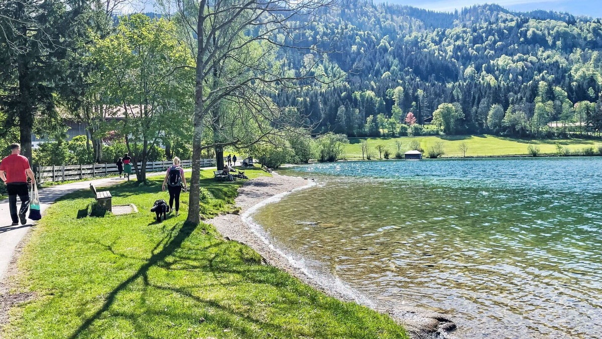 Schliersee House | Cosy apartment in villa for 5 people with A/C, TV, terrace, pets allowed and parking