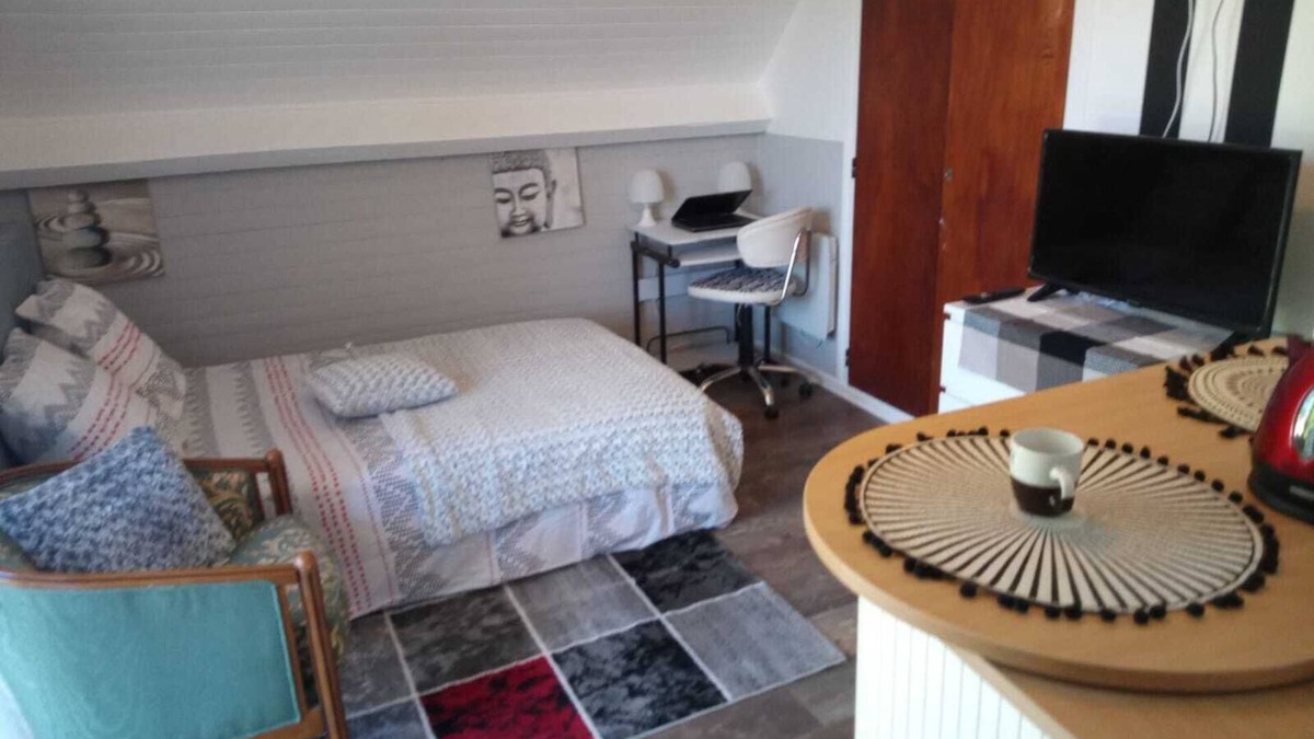 Bizanos Apartment | Cosy Casa sur l' Avenue Peboué à Pau Parking Gratuit 24/24