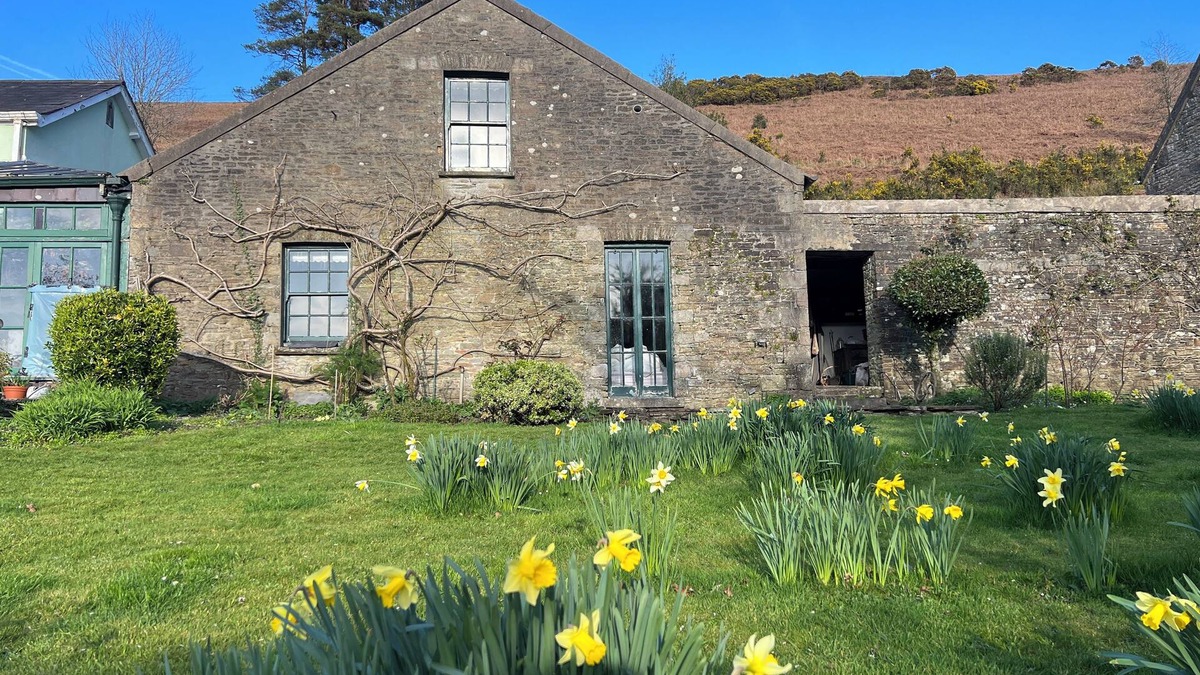 Margam Cottage | Cosy, colourful farm cottage