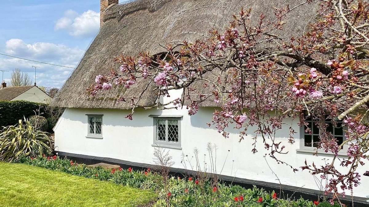 Flempton Cottage | Cosy cottage, close to Bury St Edmunds/Cambridge/Newmarket.