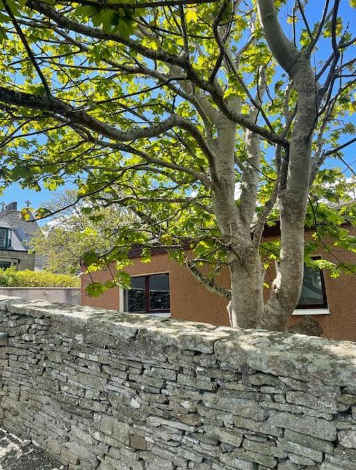 Lerwick Apartment | Cosy cottage in Kveldrso Gardens