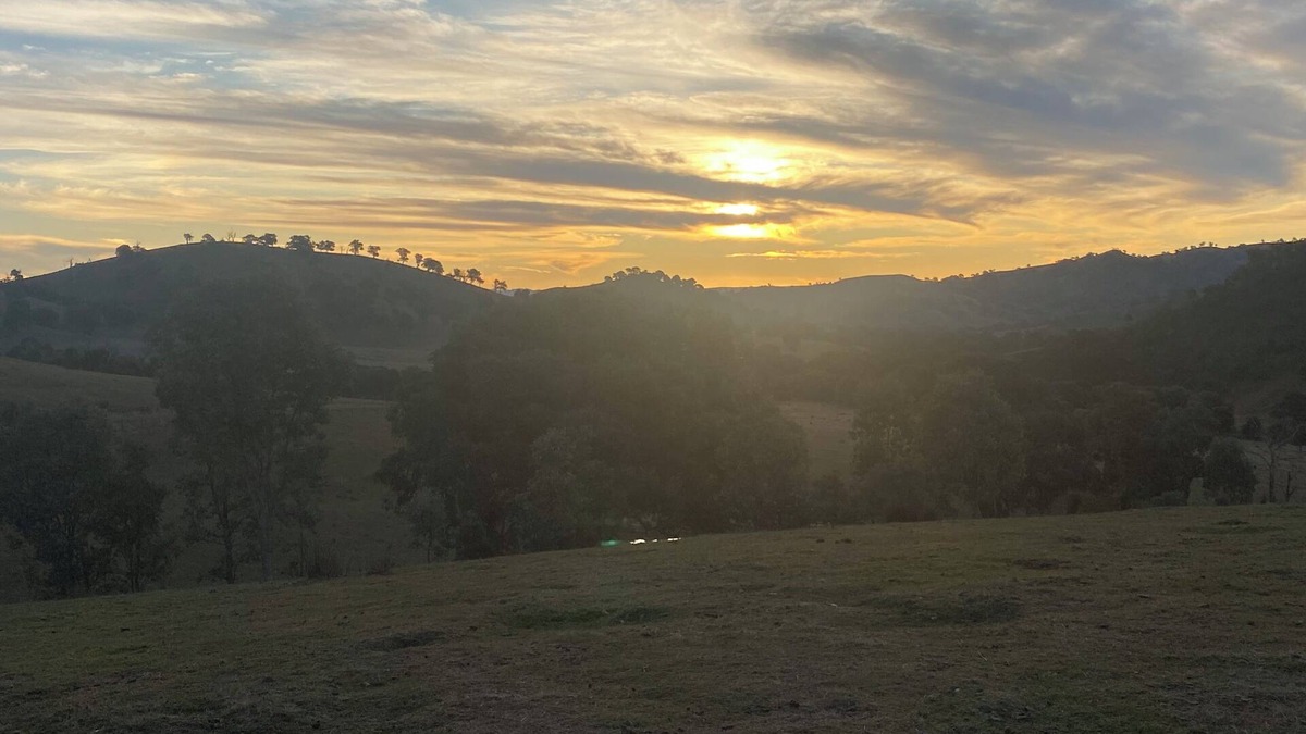 Alexandra House | Cosy Escapes at nMarlie Farmhouse Stay: nYour Idyllic Countryside Retreat Awaits
