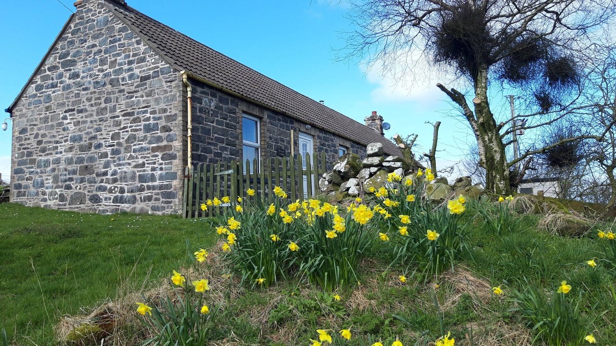 Port William Cottage | Cosy Family Cottage In Rolling Country Near Beach - Sleeps 5