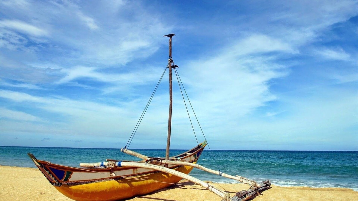 Daluwakotuwa Cottage | Cosy furnished indépendant cottage near Negombo beach