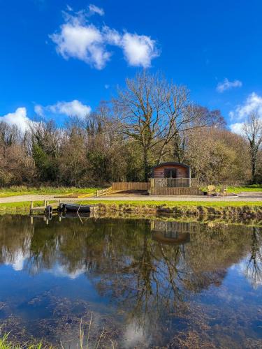 Antrim Apartment | 'Cosy Gem' Cabin Woodland Retreat Randalstown NI