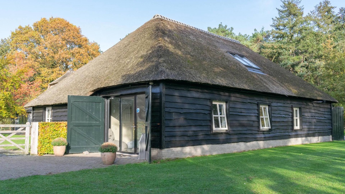 Verspreide huizen Ulvenhout House | Cosy holiday home at the edge of the forest