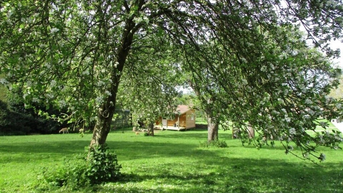 North Wheatley Cabin | Cosy Lodge completely on your own in an acre of land. and will take 2 dogs