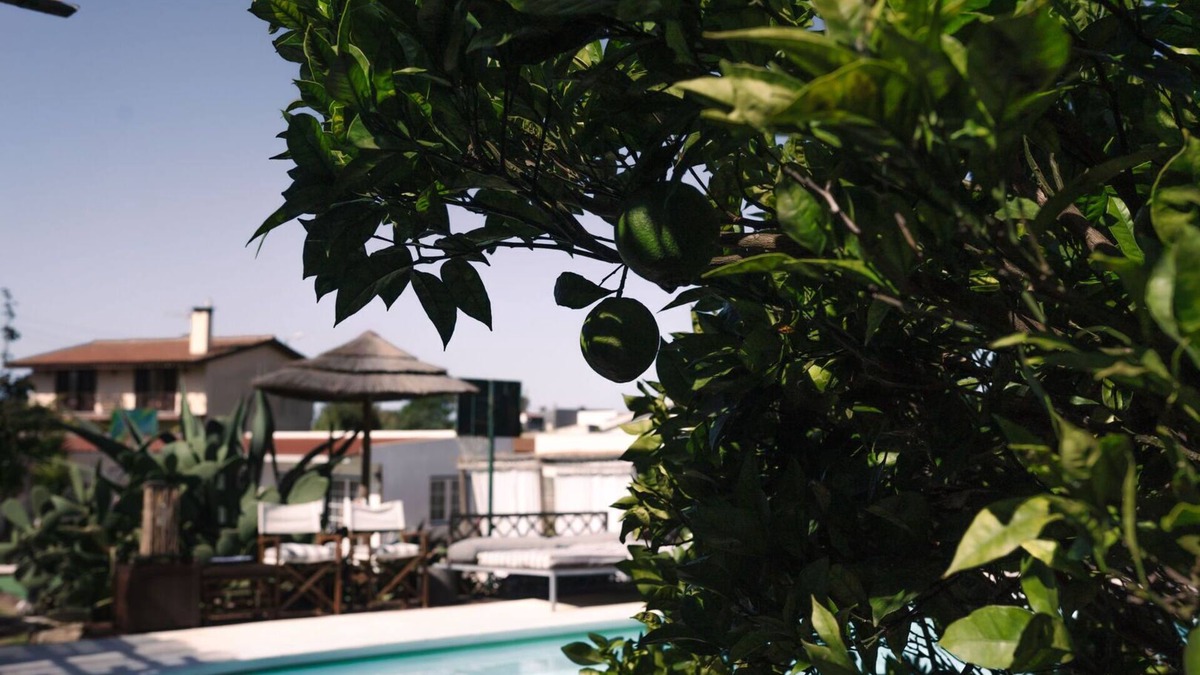 Assafora Apartment | Cosy Mosey (1 bedroom + bathroom and outdoor cooking)