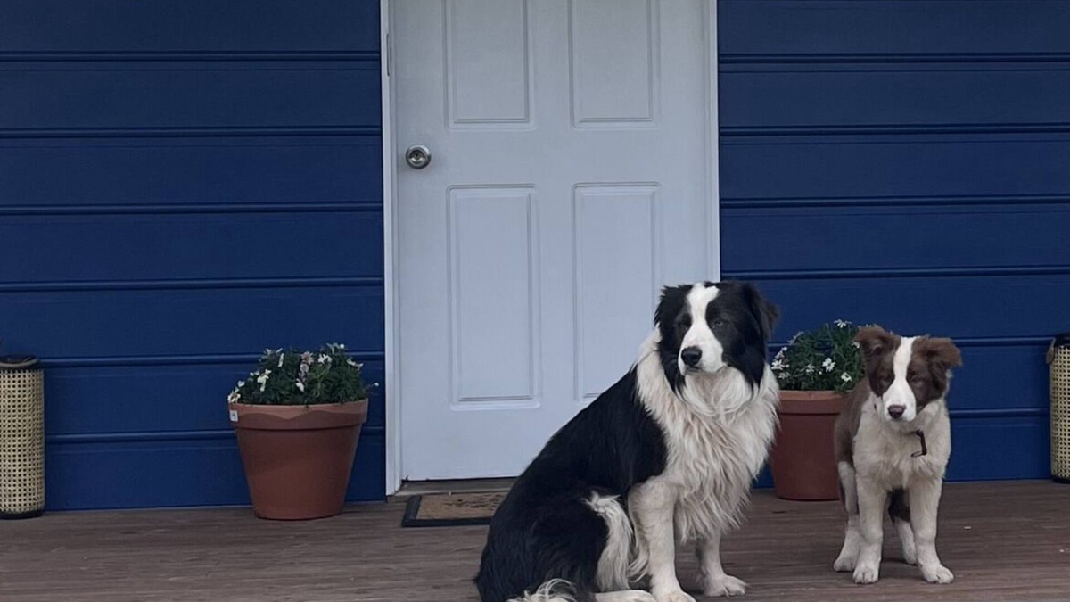 Golden Beach Cottage | Cosy Pet Friendly Beach Cottage