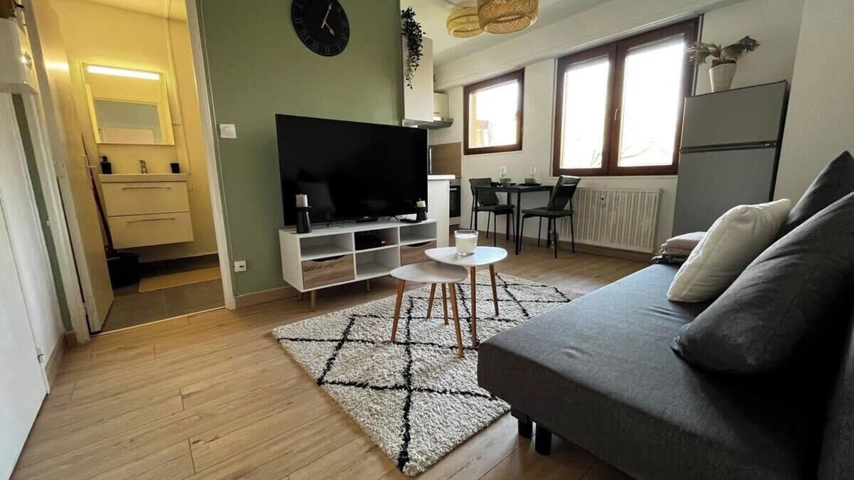 Koenigshoffen Est Apartment | Cosy Rent Strasbourg appartement wifi, terrasse