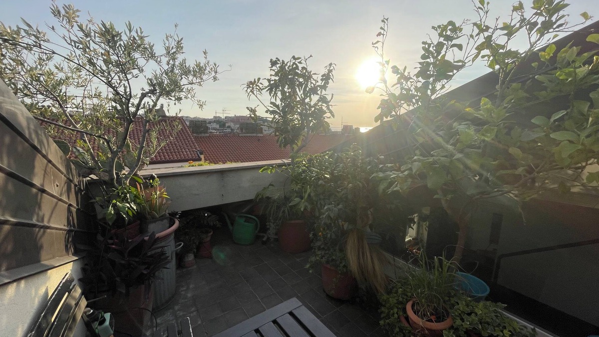 San Giovanni-Chiadino-Rozzol Bed & Breakfast | cosy room with sea view terrace in an architect's house