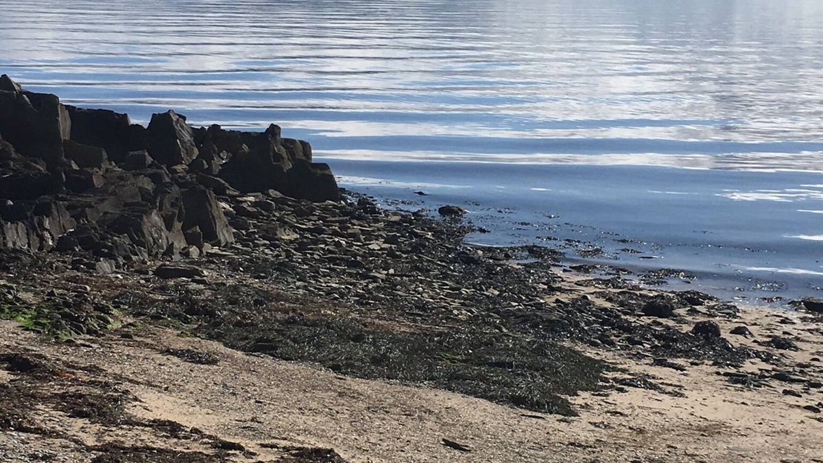 Moville Apartment | Cosy Seaside 2 bed (4+ baby) Apt, Centre Moville, Close beach High speed WiFi,
