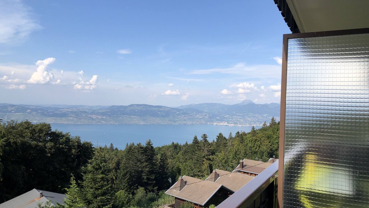 Thollon-les-Memises Apartment | Cosy traditional studio with lake views, minutes from ski slopes and beaches.