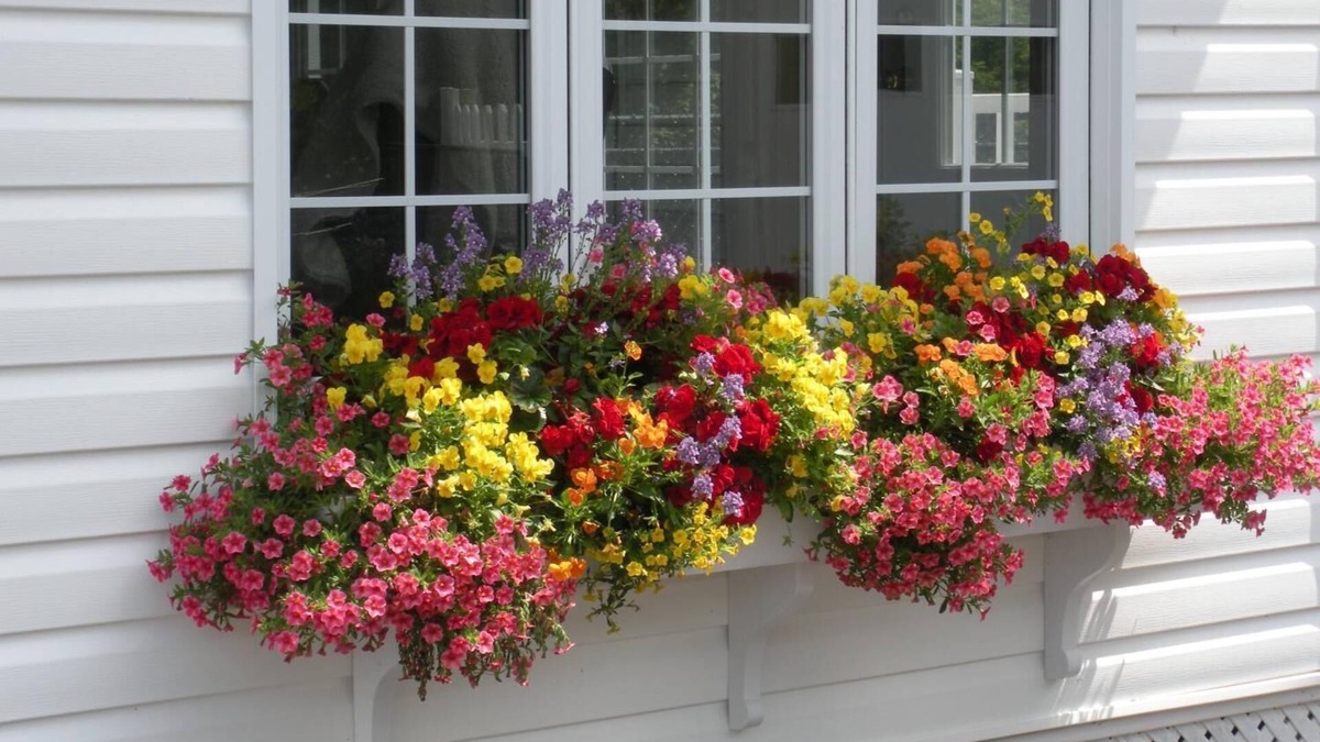 Grand Falls Bed & Breakfast | Cote's Bed & Breakfast Inn