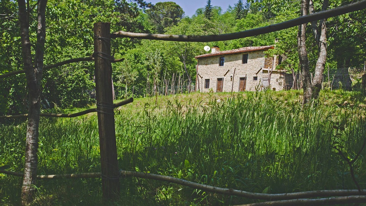 Castiglione di Garfagnana Cottage | Cottage in old chestnut grove set well away from the road