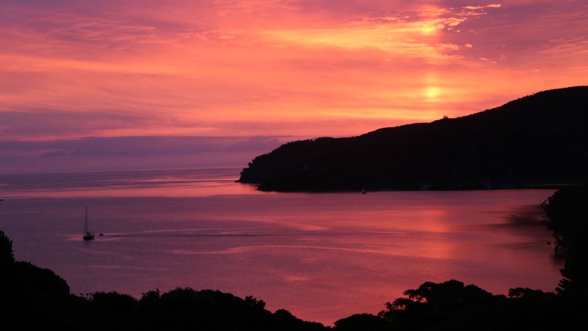 Tryphena Cottage | Cottage,2 Bedroom,Tryphena,Great Barrier Island.Great Location