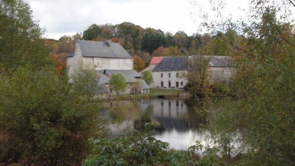 Saint-Yrieix-la-Montagne Cottage | Cottage 9 people on 43 hectare estate with a fish pond of 3 ha