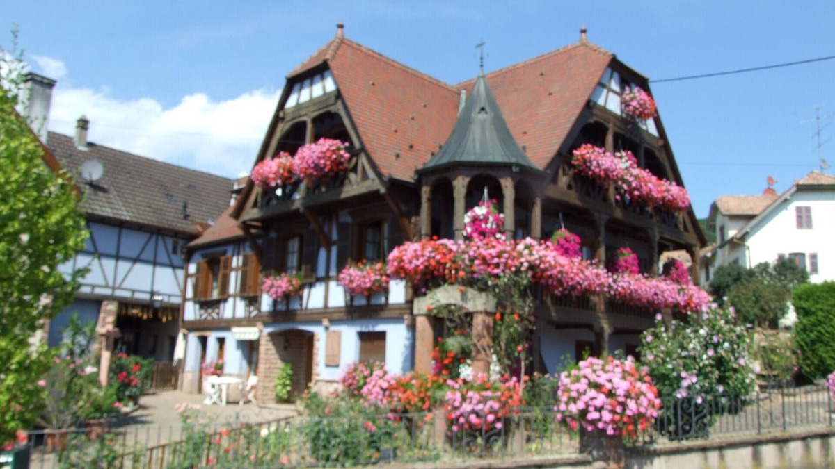 Triembach-au-Val Apartment | COTTAGE "AU VIGNERON" - SPA - 3 Epis