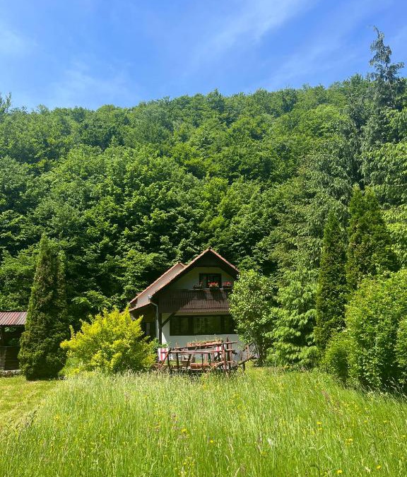 Poieni House | Cottage by the river Valea Draganului