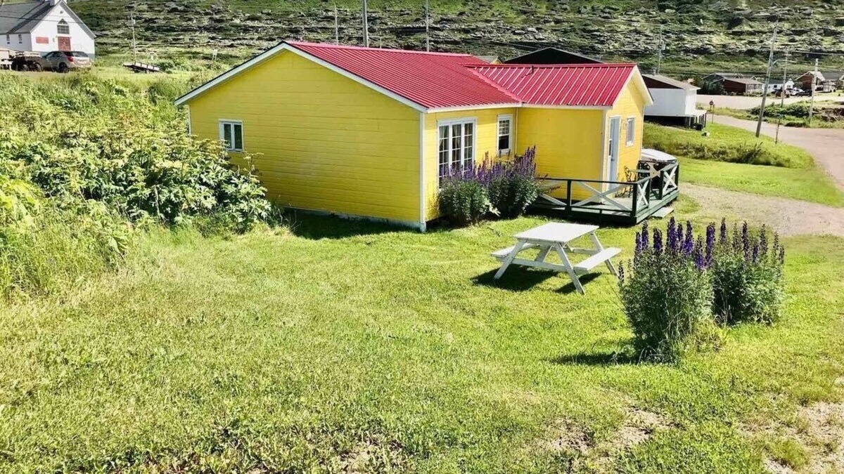 The Whale Route House | Cottage by the sea. Five minutes from the Newfoundland ferry!