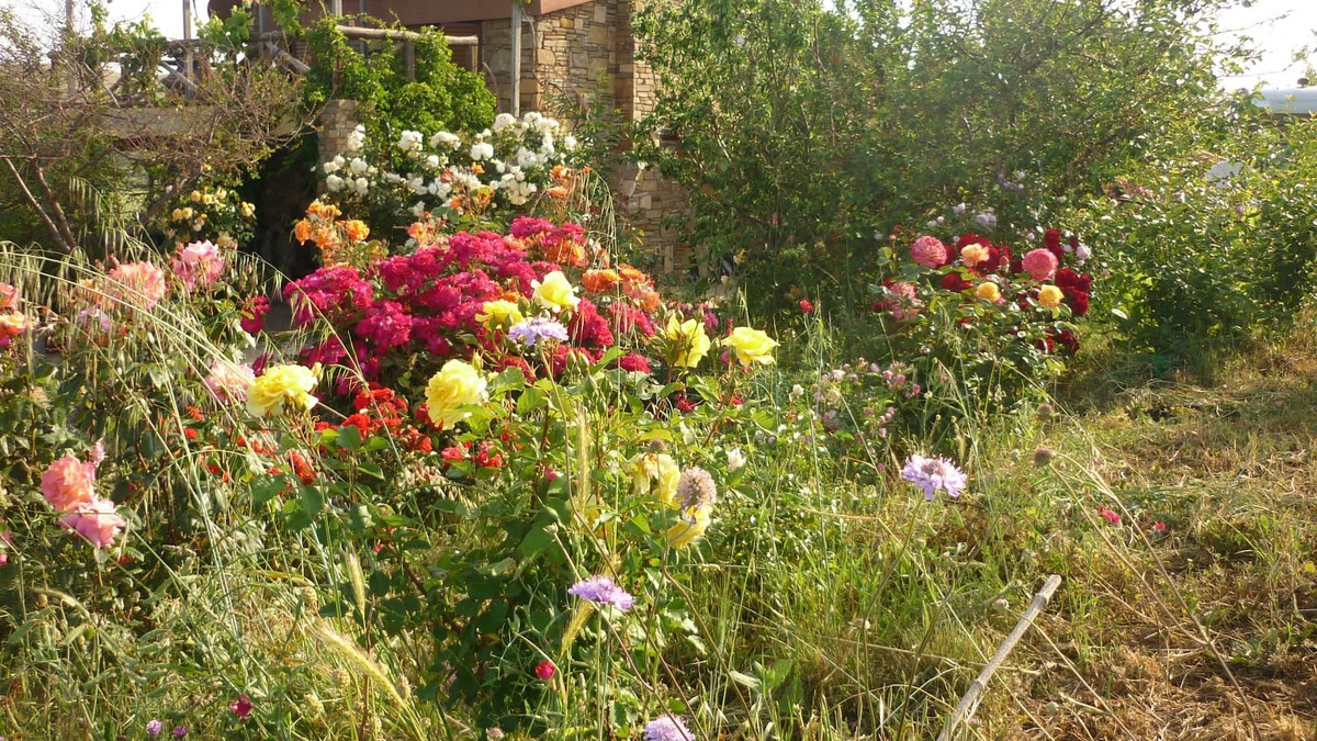 Lemnos Cottage | Cottage farmhouse.