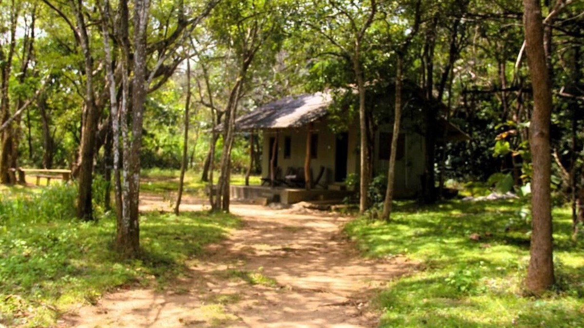 Habarana Cabin | Cottage for 2 - Eagles Wing's GuestHouse