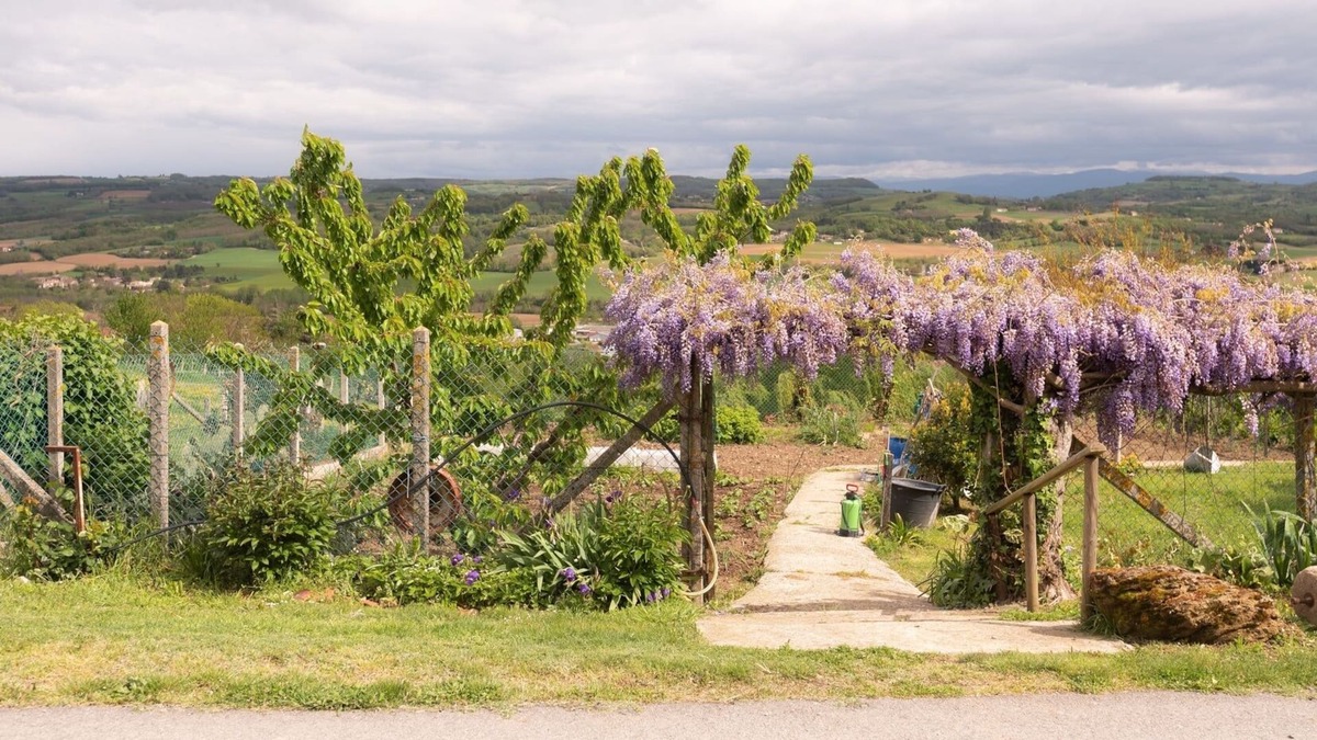 Chateauneuf-de-Galaure House | Cottage Les Figues 2