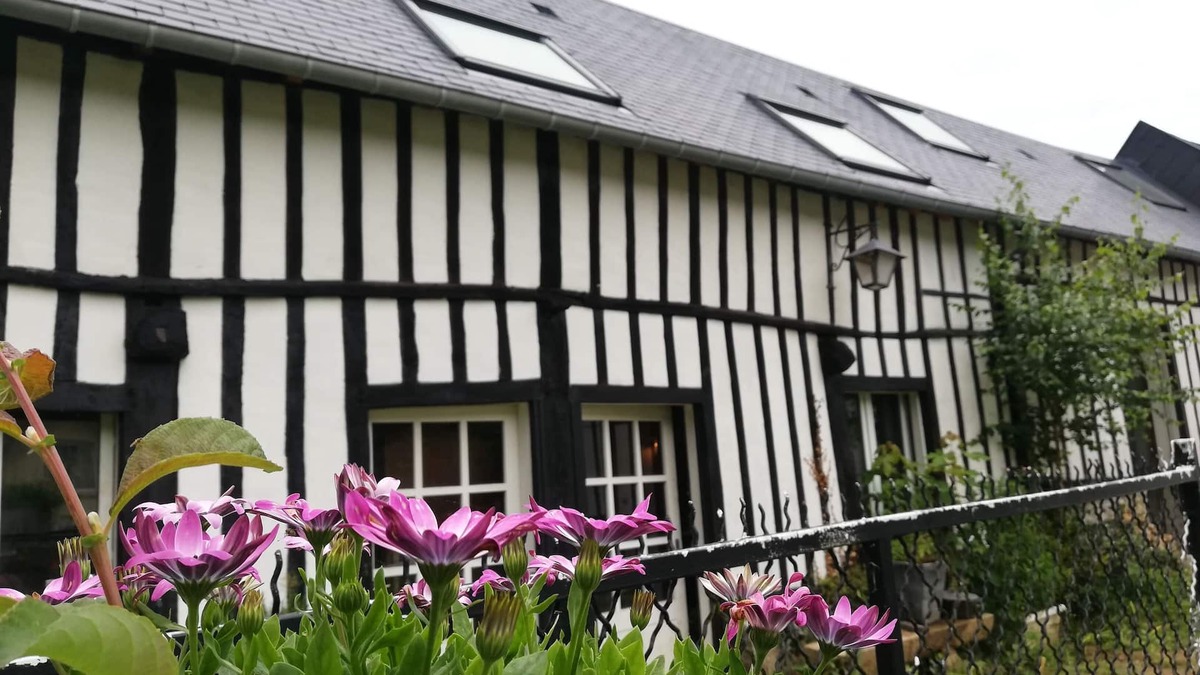 Sassetot-le-Mauconduit House | Cottage - Ground floor Normandy house - 1500 m from the beach