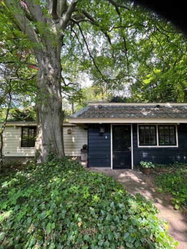 Aerdenhout House | Cottage Het Beukenootje