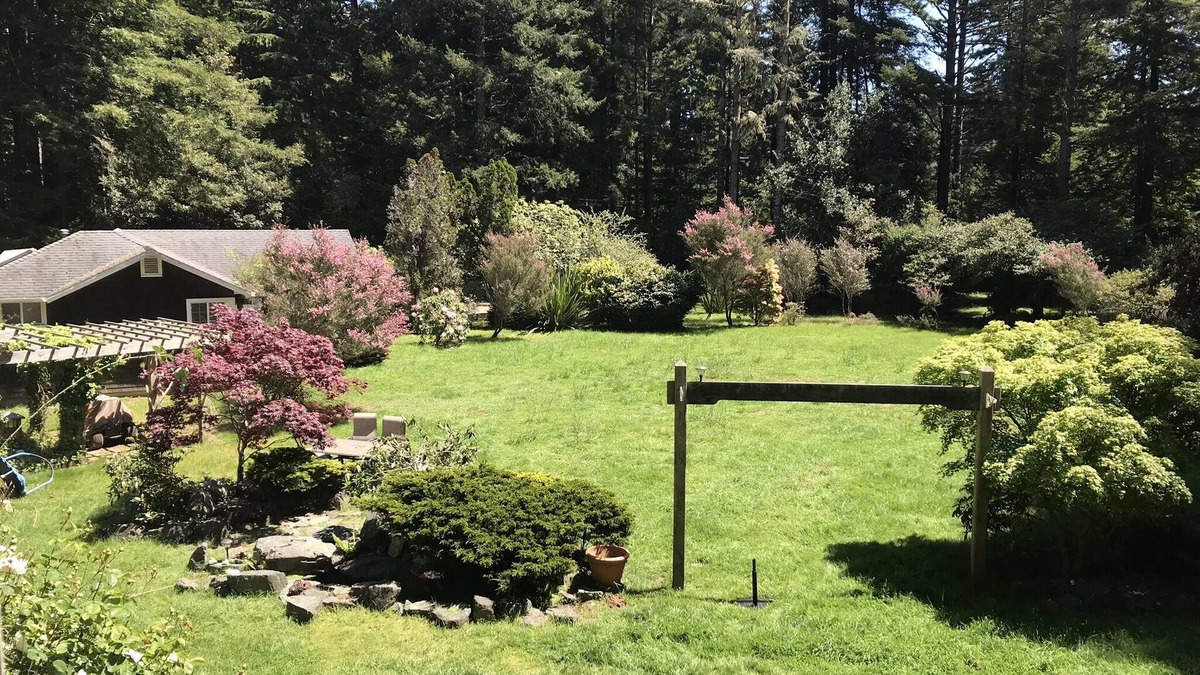 Fort Bragg House | Cottage Hideaway in the Redwoods—Less Than One Mile from the Ocean