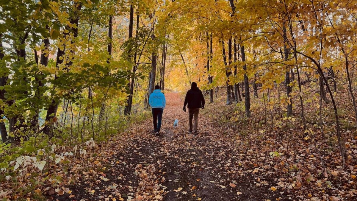 Clitherall Cottage | Cottage I | Escape to the Tranquil Beauty at Spitzer Lake ! | Legacy Lakeside Resort