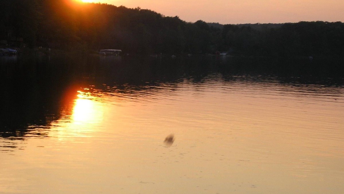 Hart Cottage | Cottage in Crystal Lake
