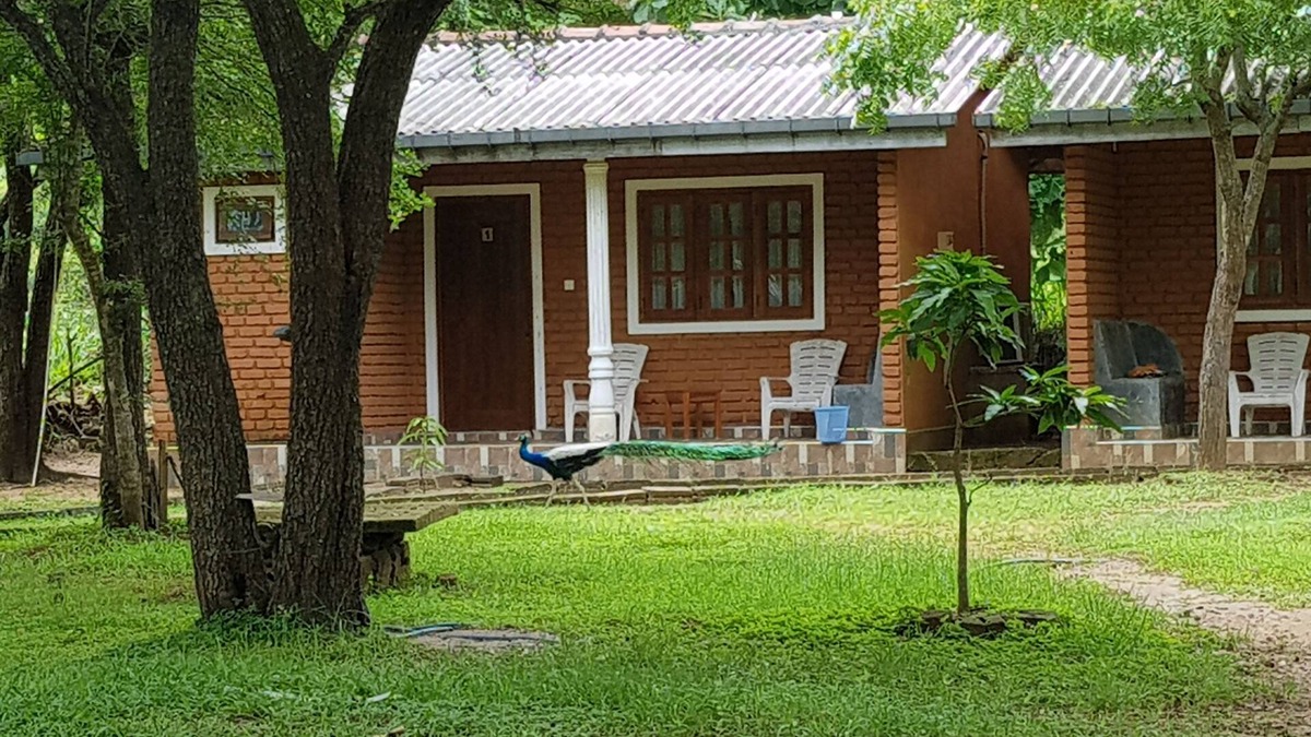 Habarana Cottage | Cottage In Habarana