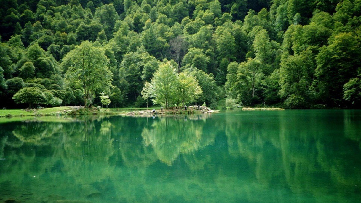 Arrien-en-Bethmale Cottage | Cottage in the heart of the Ariège Pyrenees in the valley of Bethmale.