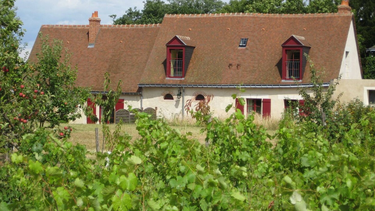 Vernou-sur-Brenne House | Cottage in the heart of a vineyard with private pool in season