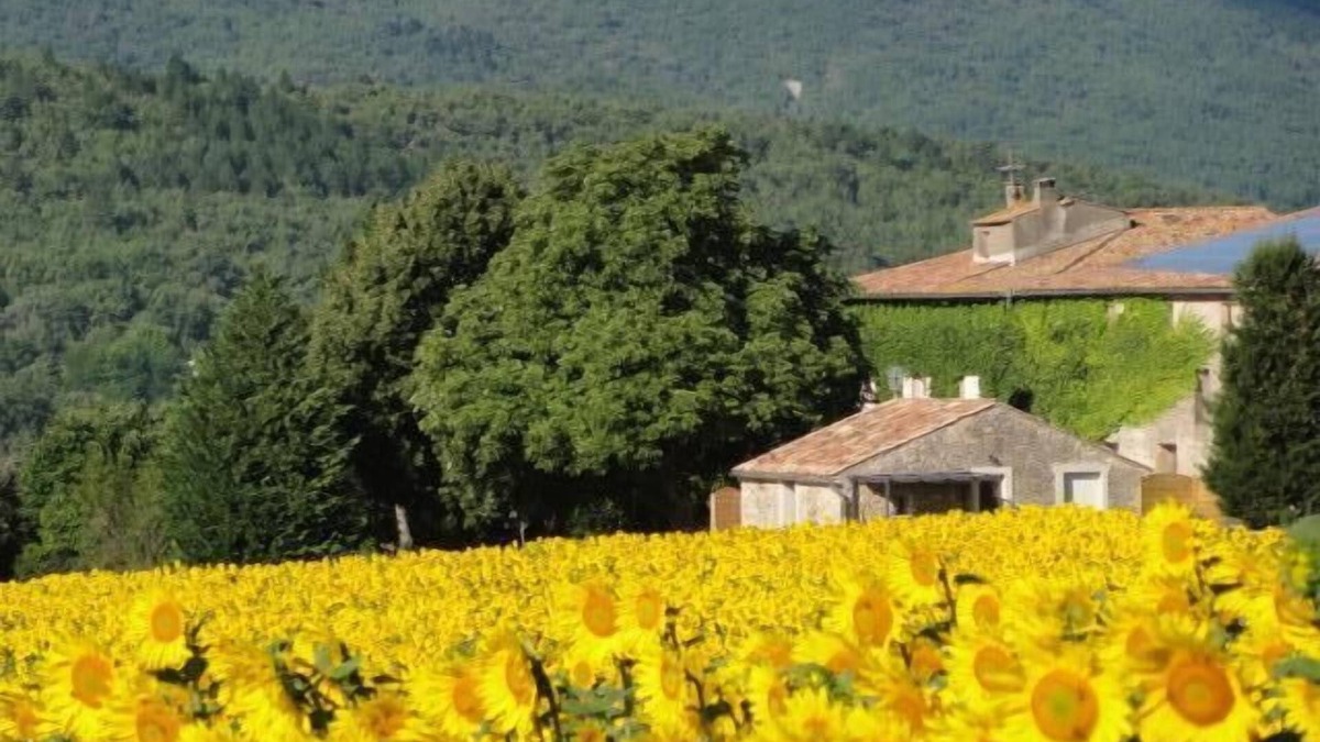 Reillanne Cottage | Cottage in the countryside in the heart of the Luberon