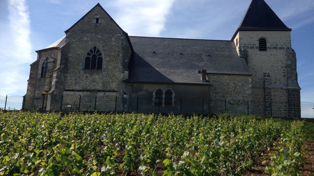 Chavot-Courcourt House | cottage in the middle of Champagne vineyards