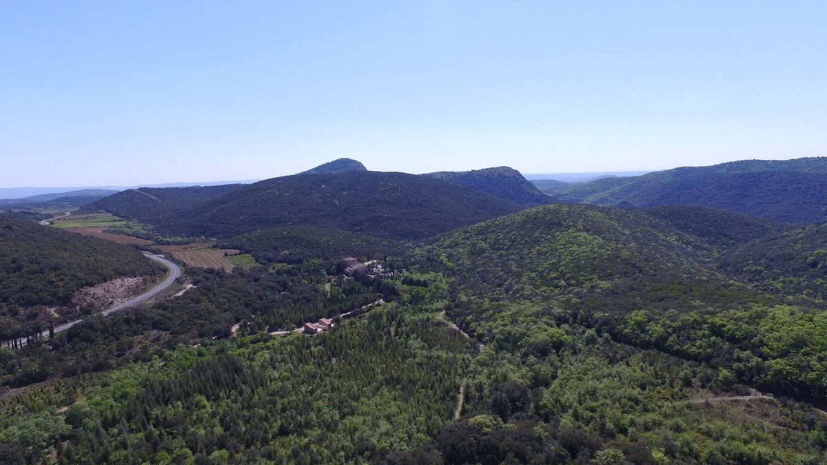 Moureze Cottage | Cottage in the middle of trees 5 km from Lake Salagou