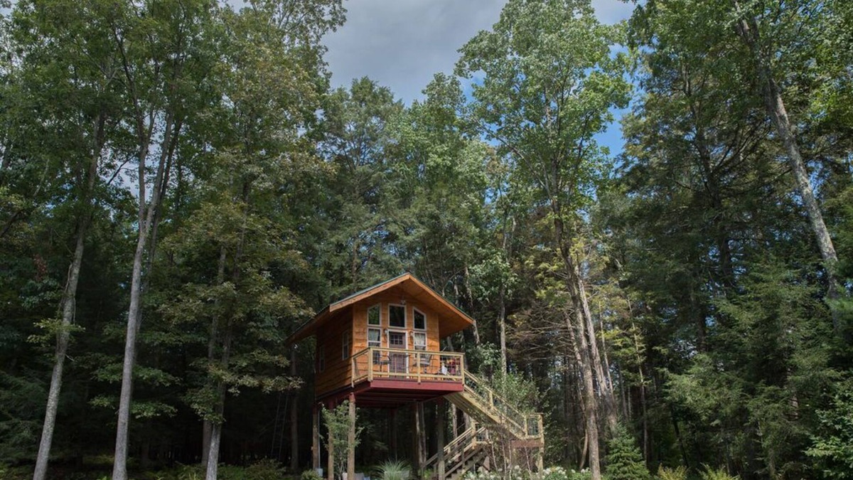 Sweet Valley Cottage | Cottage in the Woods B&B - Owl's Nest - Treehouse -2mi. from falls trailhead