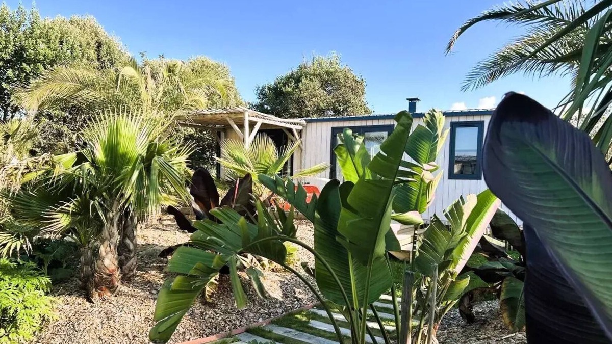 Brignogan-Plage House | Cottage Jardin des Exotique - SPA - 2 Schlafzimmer 4 persons