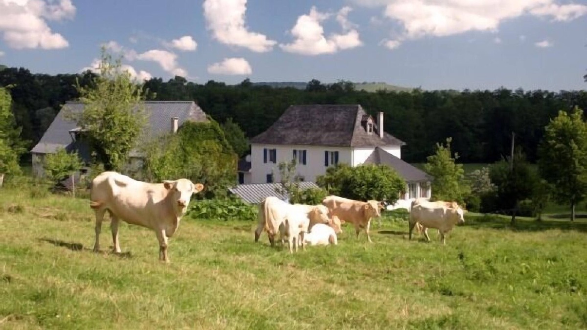 Aramits House | Cottage L'Ostau Barétous Pyrénées for 5 persons