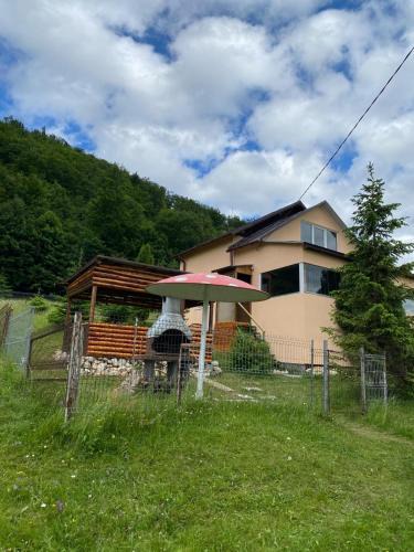 Dambovicioara Villa | Cottage Luca
