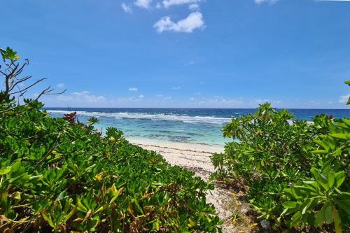 Temae House | Cottage Manua