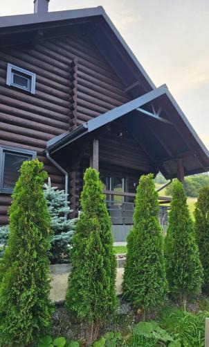 Plavya House | Cottage MiniHouse